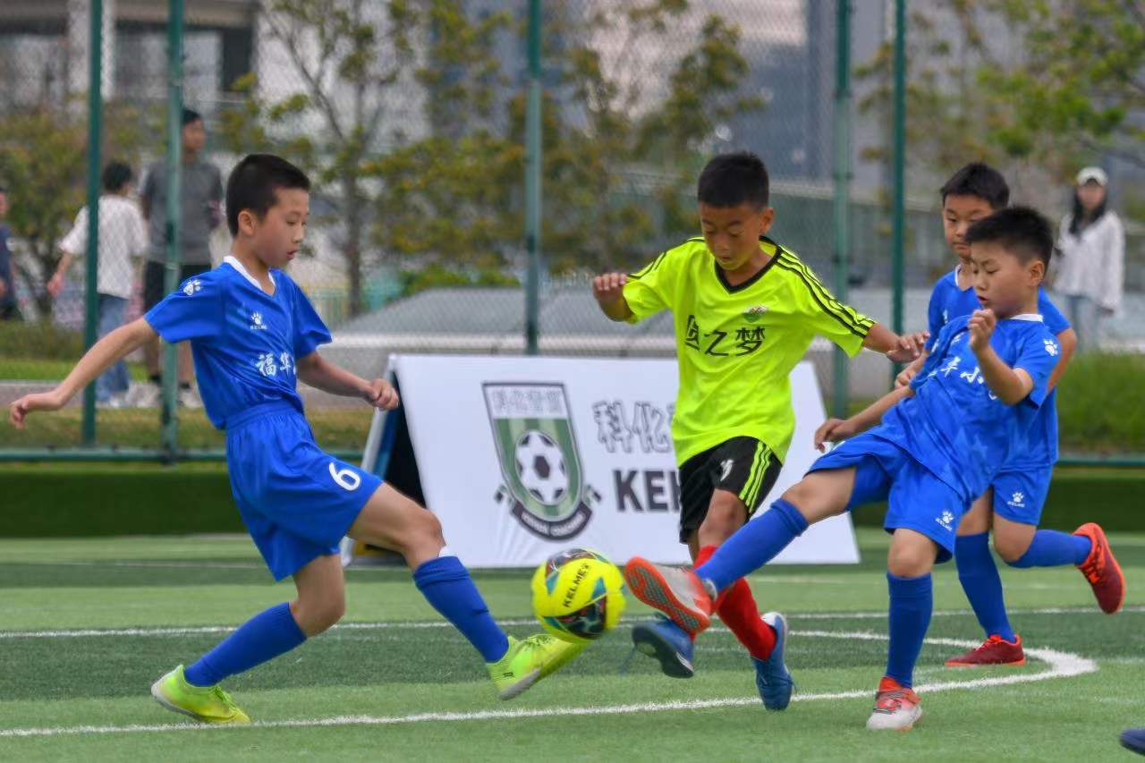 揭示背后的 揭示背后的