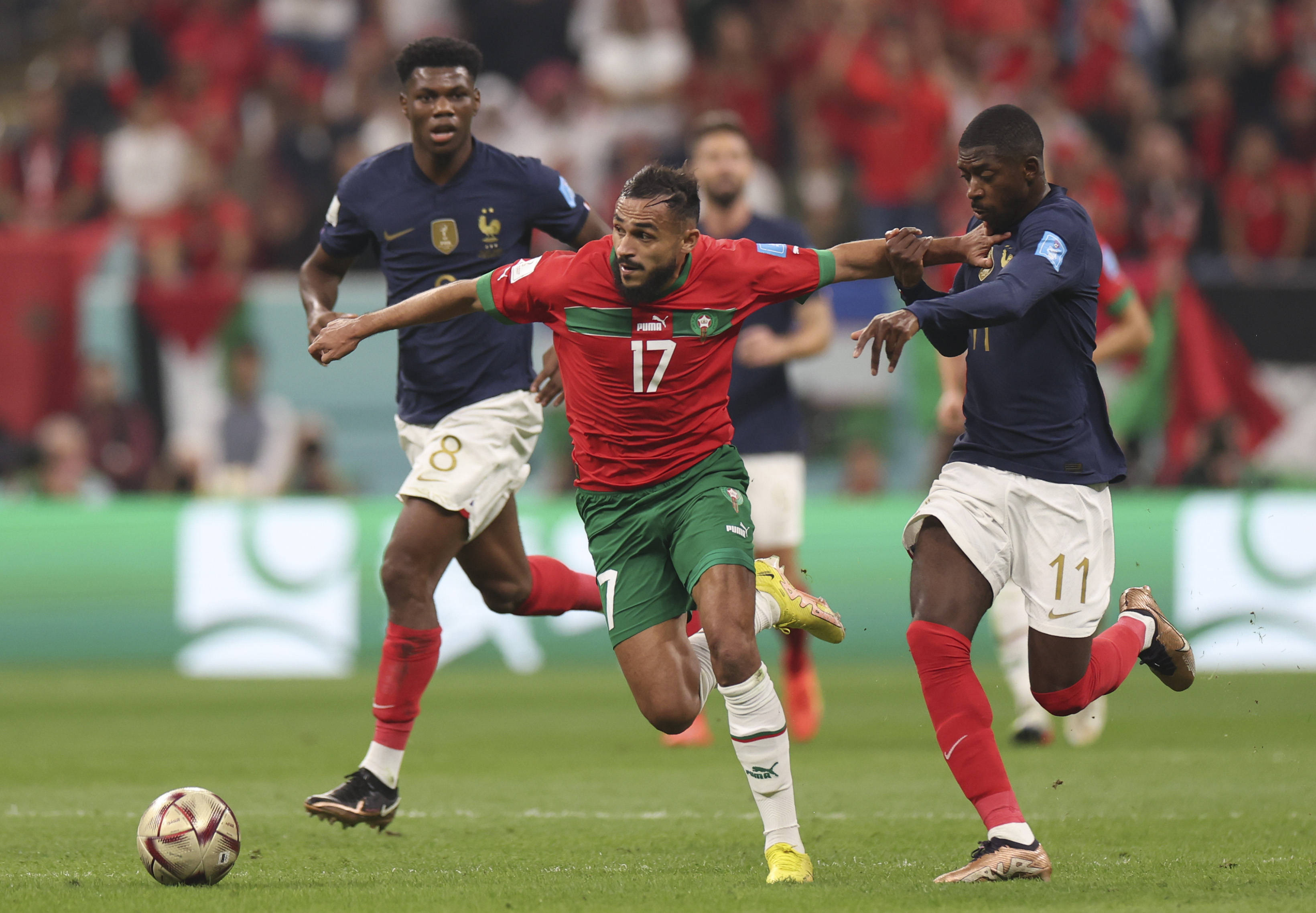 树立了良好 树立了良好