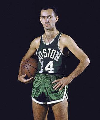 近年来它们 近年来它们