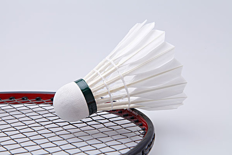 证的模型证 证的模型证